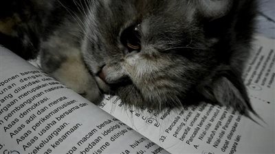 article