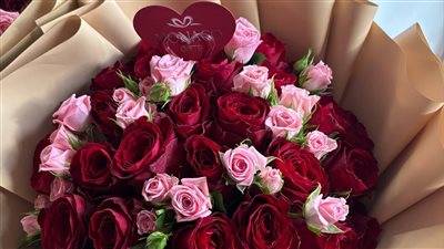 article